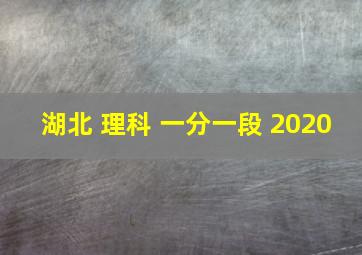 湖北 理科 一分一段 2020